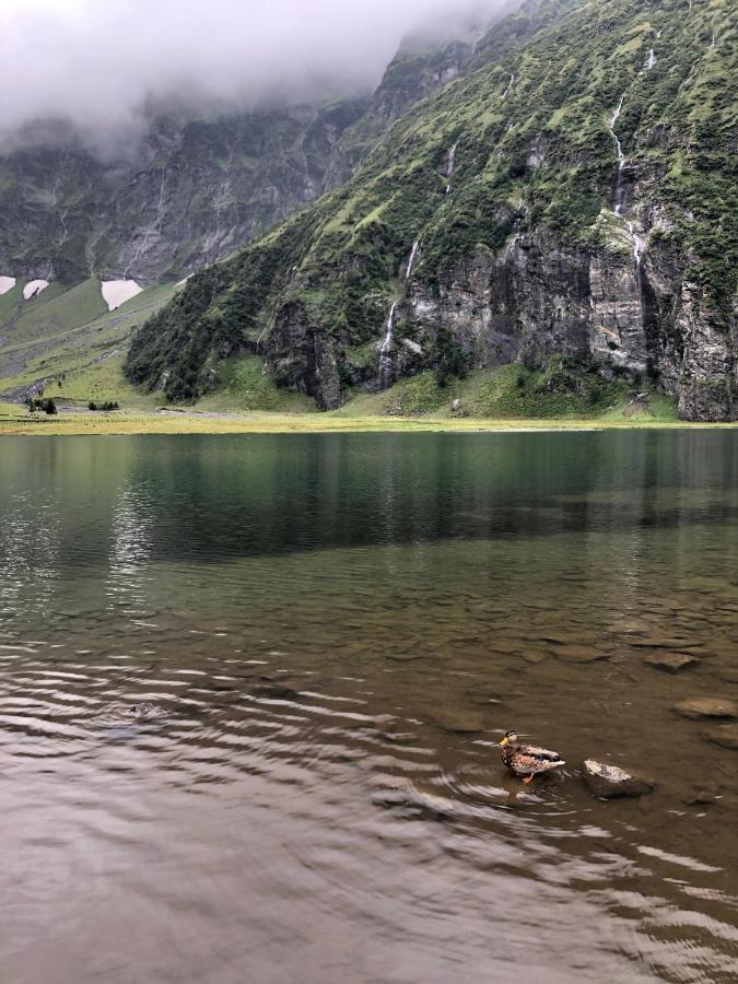 Gaestehaus Johannes Нидернзилль Экстерьер фото